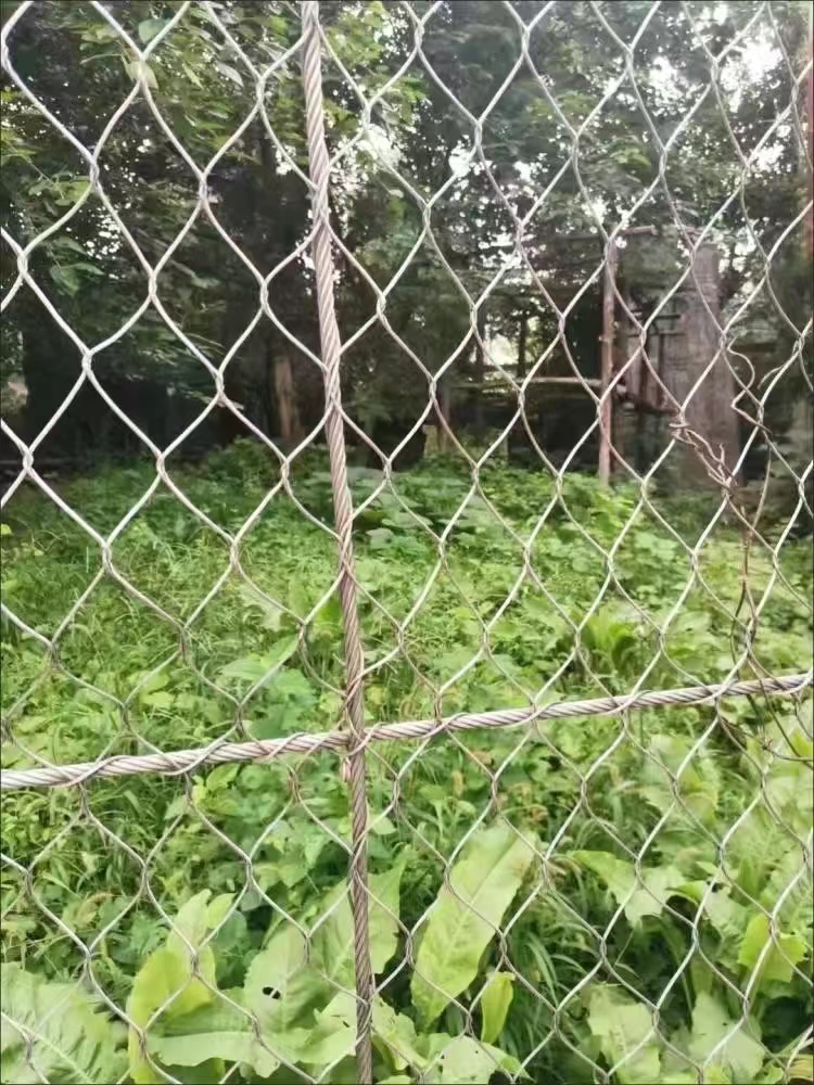 動物園防護網(wǎng)